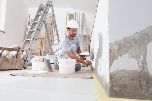  Sagamore, MA Mold Removal Pros
